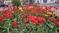 2016-04-23 13.34.52 - Gubin